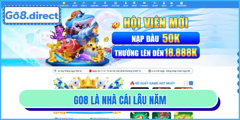 Nhà cái đã có tới 10 năm hoạt động
